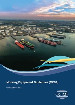 meg 4 cover
