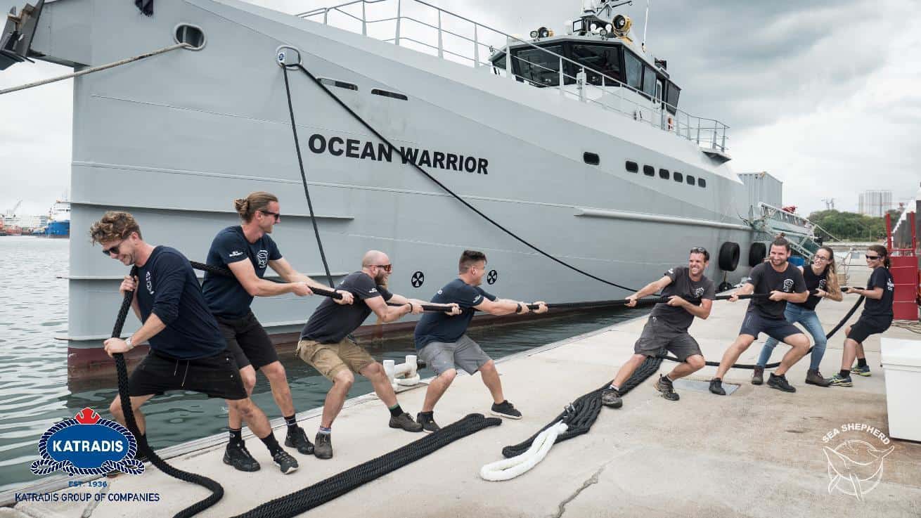 news ocean warrior