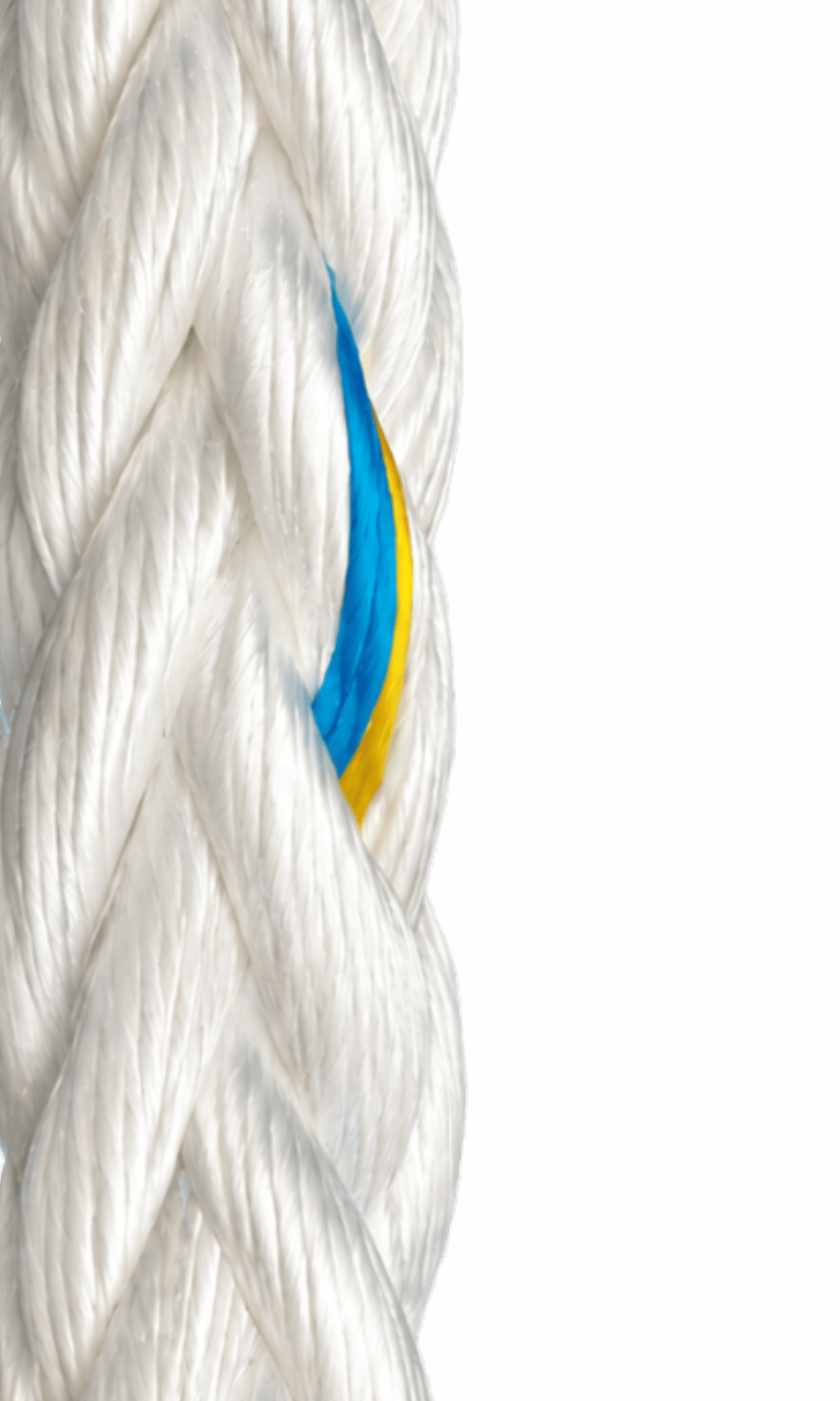 untitled design 2026 06 16t112840.921